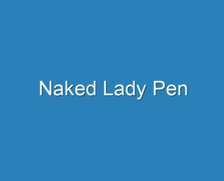 Best Naked Lady Pen Reviews