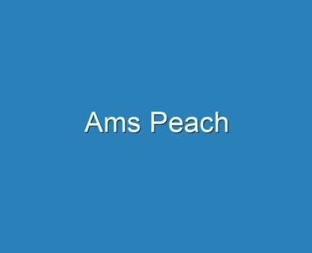 20+ Best Ams Peach 2023 - Reviews