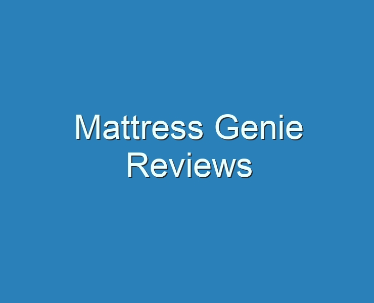the mattress genie reviews