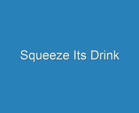 20+ Best Squeeze Its Drink 2022 - Reviews