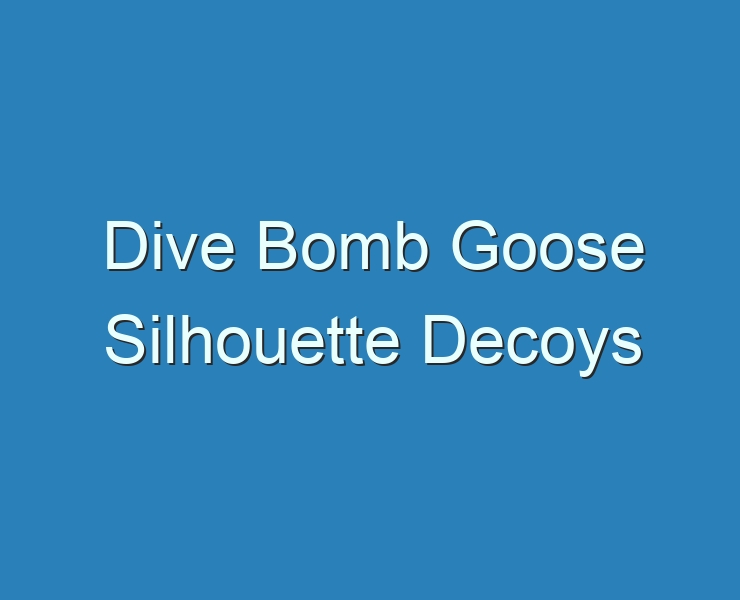 20+ Best Dive Bomb Goose Silhouette Decoys 2023 Reviews