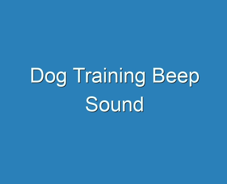 20+ Best Dog Training Beep Sound 2023 Reviews