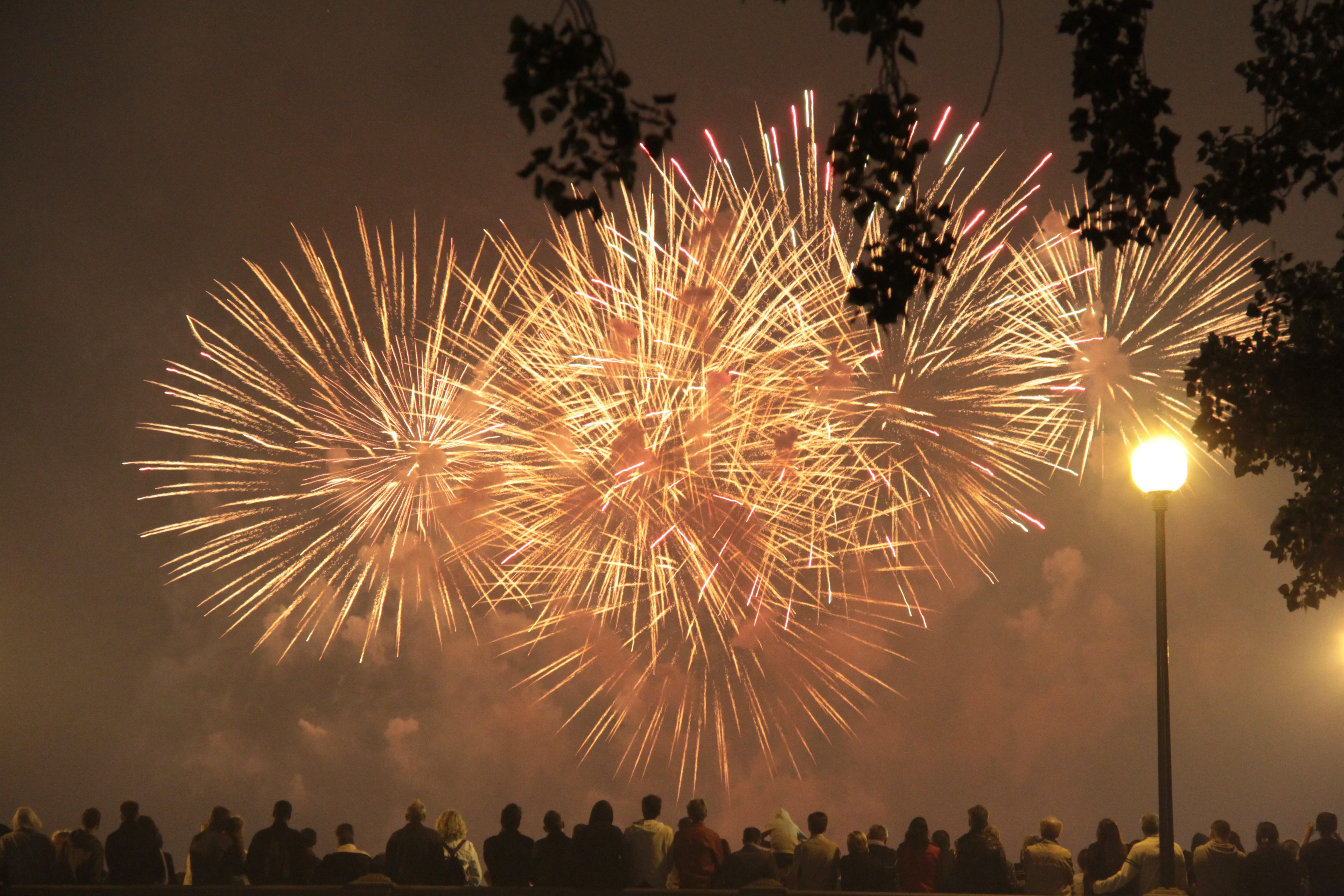 A crowd watches fireworks burst over Paris at night.