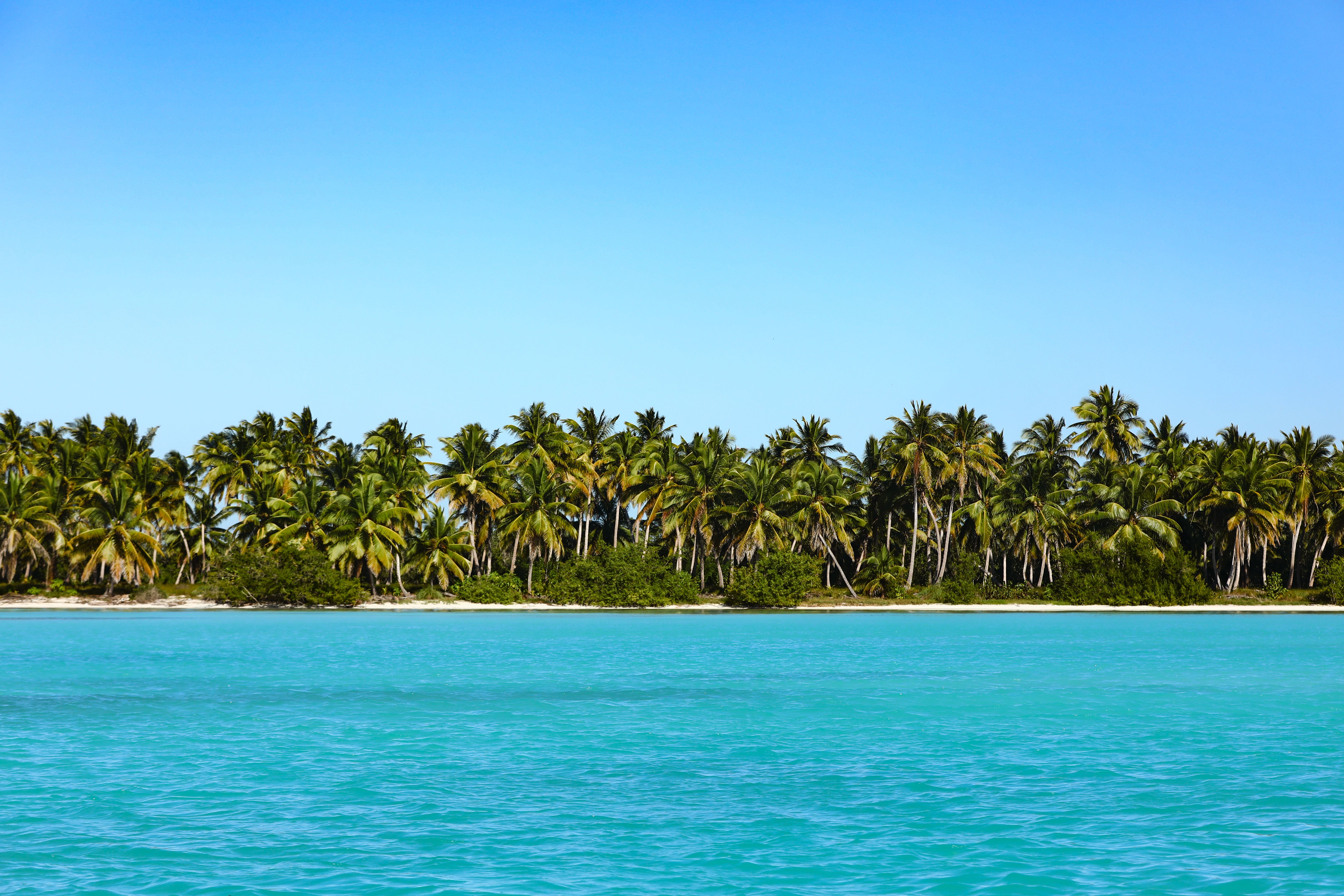 Palm-lined tropical island and turquoise ocean for a sunny December beach escape.
